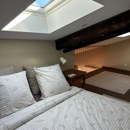 Apartment Loft Andy Suze-la-Rousse